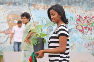 PlantioBaoba_2