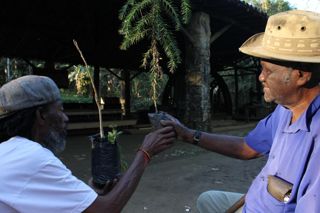 Fazenda da Cai\xa