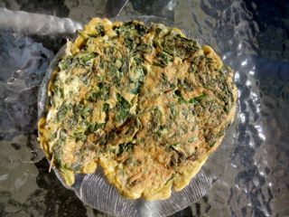 Ground-elder Tortilla