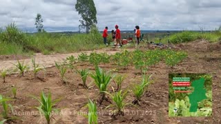 2o. Mutirão da Teia Cerrado - Ana Primavesi - Coletivos