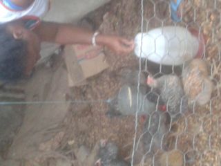 Acampamento Guanabara