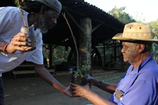 Fazenda da Cai\xa