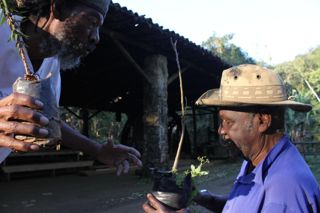 Fazenda da Cai\xa