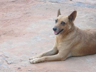 Primeiro Encontro Quilombolinha