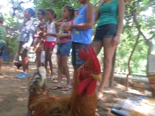 Primeiro Encontro Quilombolinha